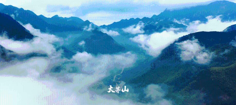 桃源三阳港镇：我为“秀美”添彩在行动