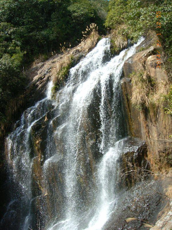 把健康与祝福为旅客打包带回家!齐鲁壹点举办“带福回家”活动